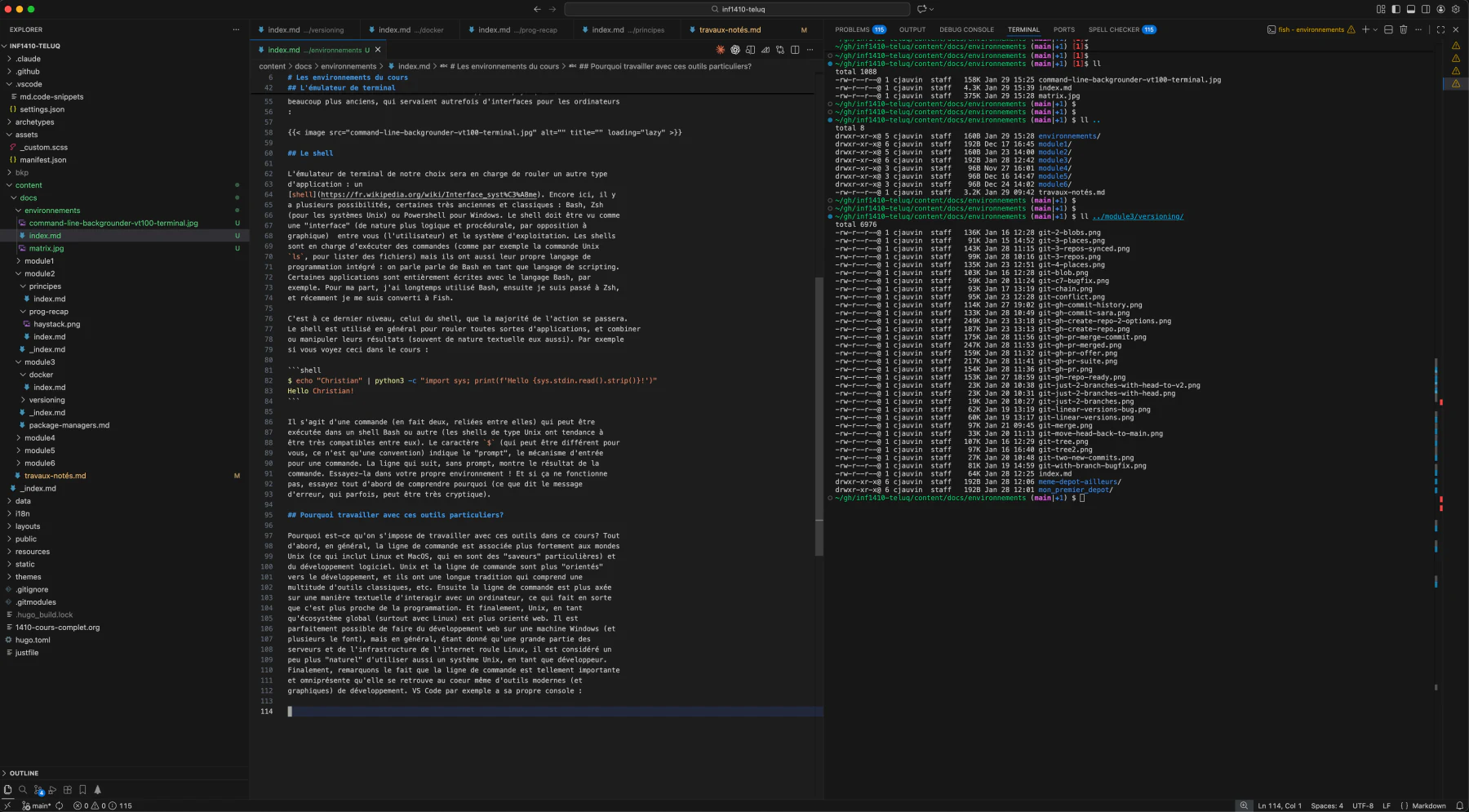 L'éditeur VS Code de l'auteur, en thème sombre : l'explorateur de fichiers à gauche, le code au centre, et le terminal intégré à droite
